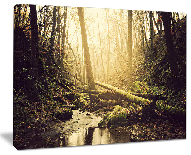 "Stream in The Dark Wild Forest" Large Forest Wall Canvas, 20"x12