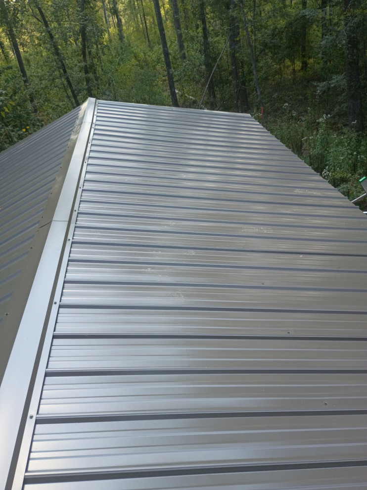 Metal Roofs