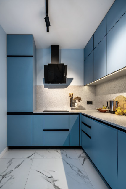Rosenbloom contemporary-kitchen