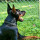 kate_port67