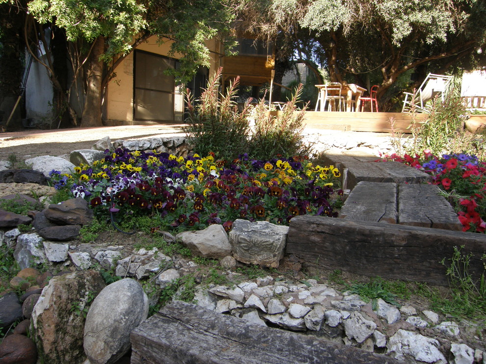 Design ideas for a mediterranean garden in Tel Aviv.