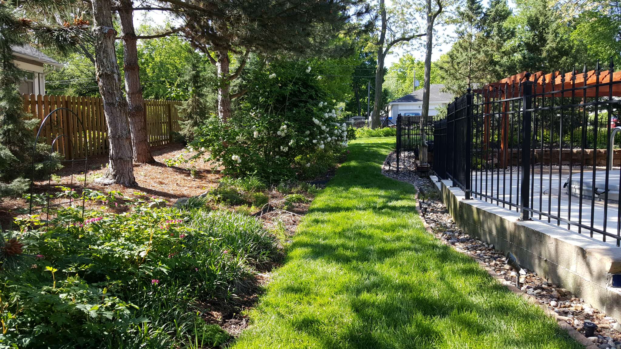 BEFORE Kansas City backyard