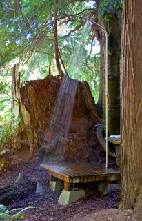 50 Cool Ideas for Outdoor Showers (50 photos)