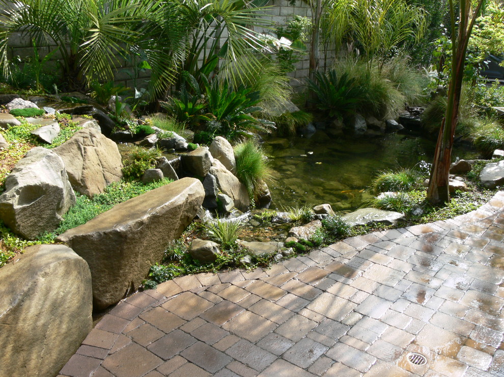 Photo of a small modern side yard partial sun xeriscape for spring in Los Angeles with with pond and brick pavers.
