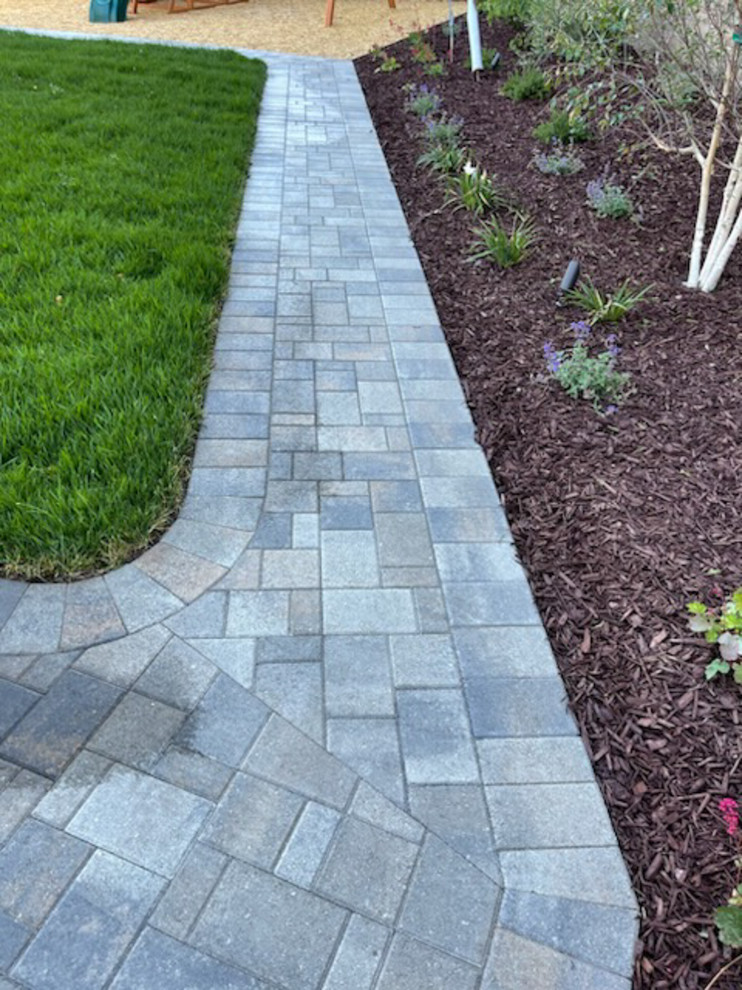 Los Gatos - Traditional Backyard