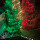 Classic Christmas Lighting