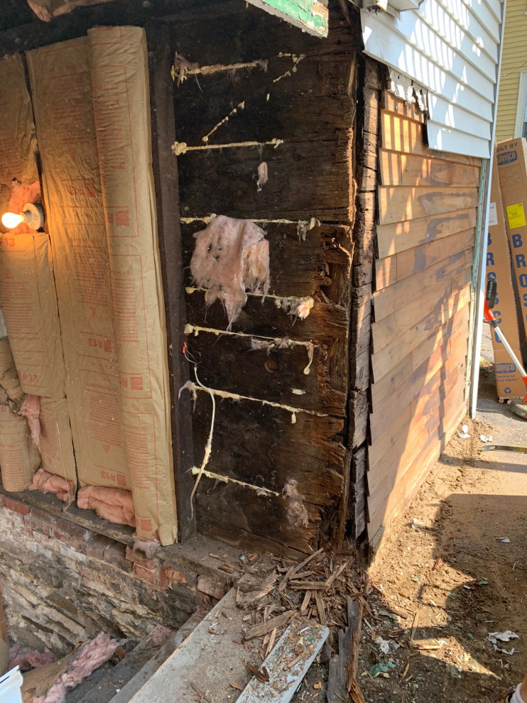 Basement doors