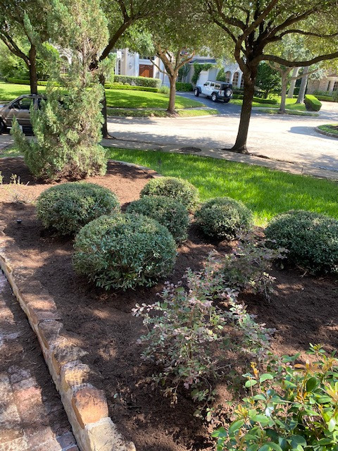 Landscaping, Mulch & Trimming