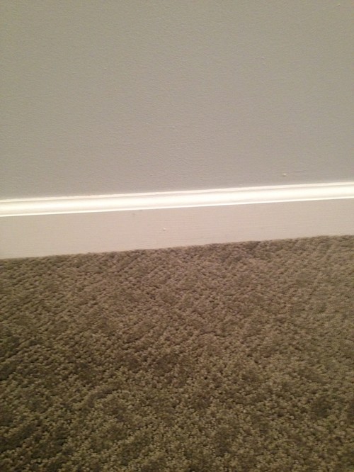 What Colour Sr Carpet Goes With Grey Walls - Carpet Vidalondon