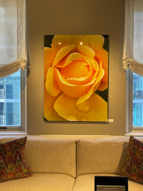 Laurel Feldman Photography