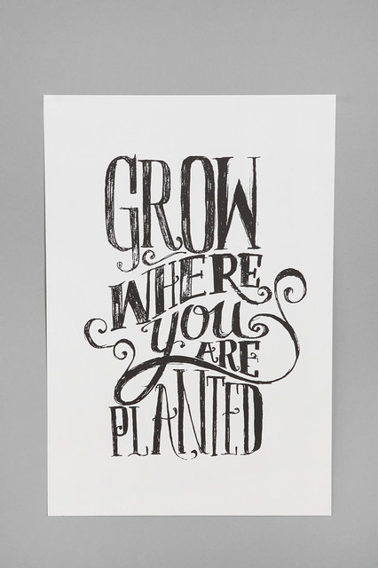 Grow Where You Are Planted Art Print