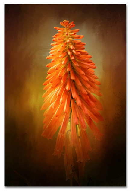 Jai Johnson 'Orange Blast In The Garden' Canvas Art, 24 x 16