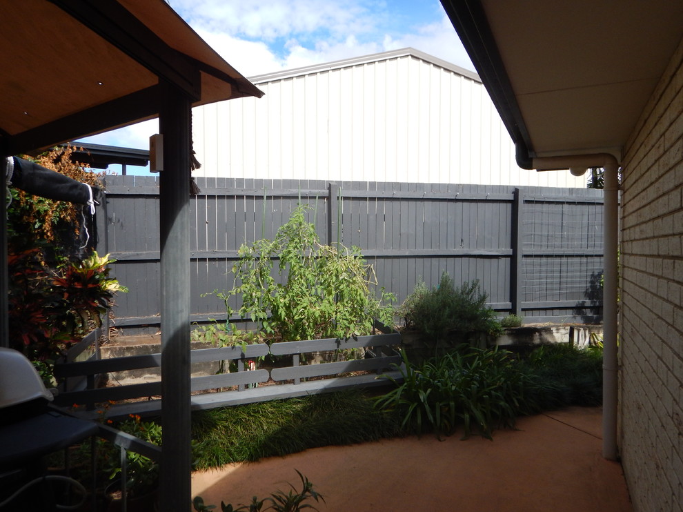 Need advice to hide the neighbours shed.