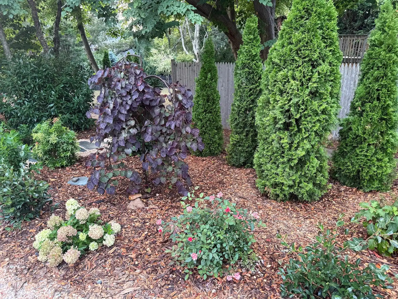 Beach Plumb Lane in Eastham