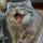 webuser_669520113