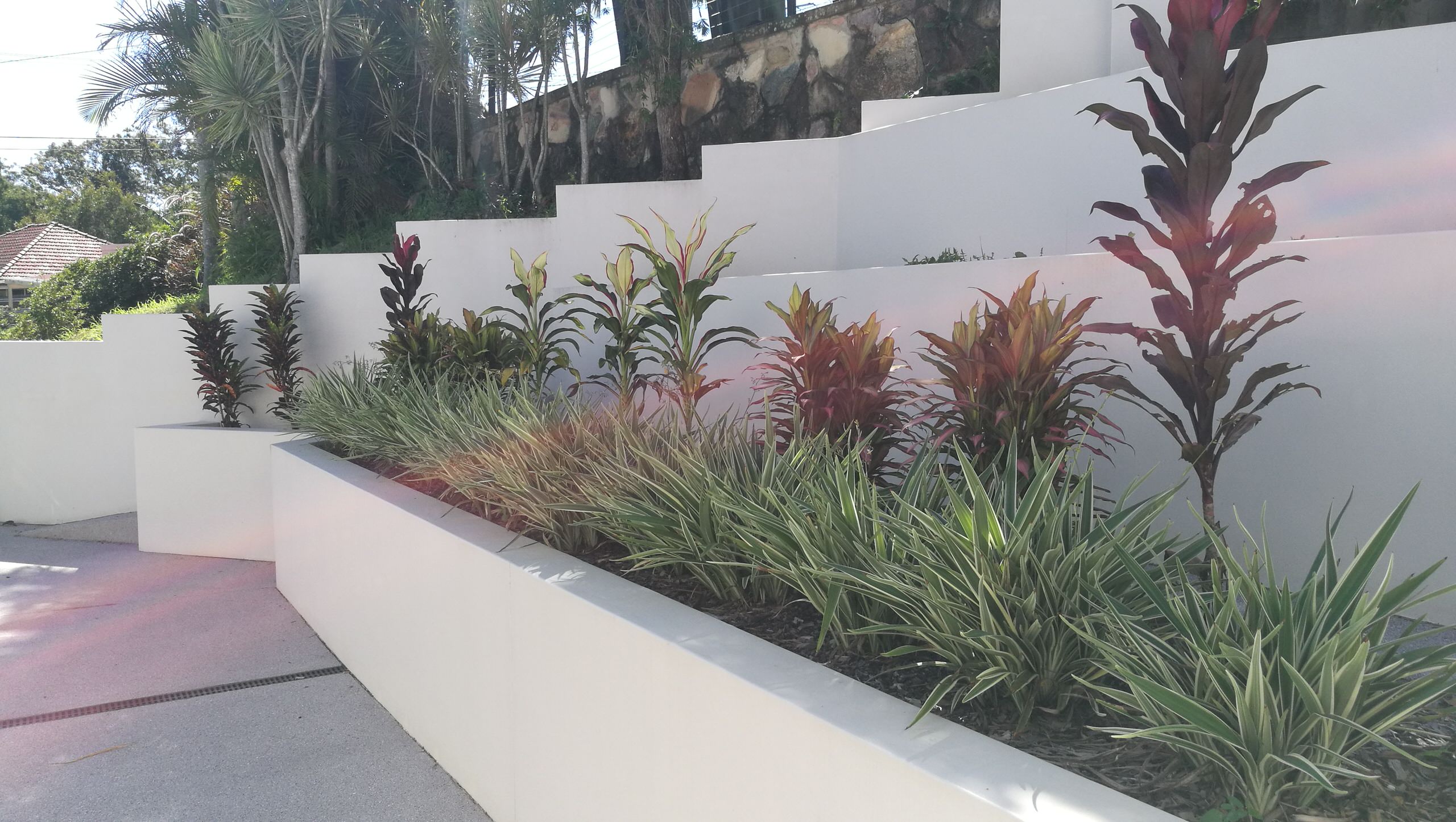 terraced steep garden