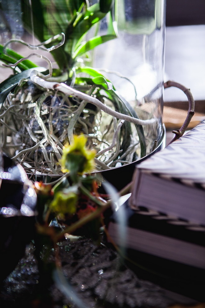 Скромное обаяние буржуа \\ гостиная-кухня