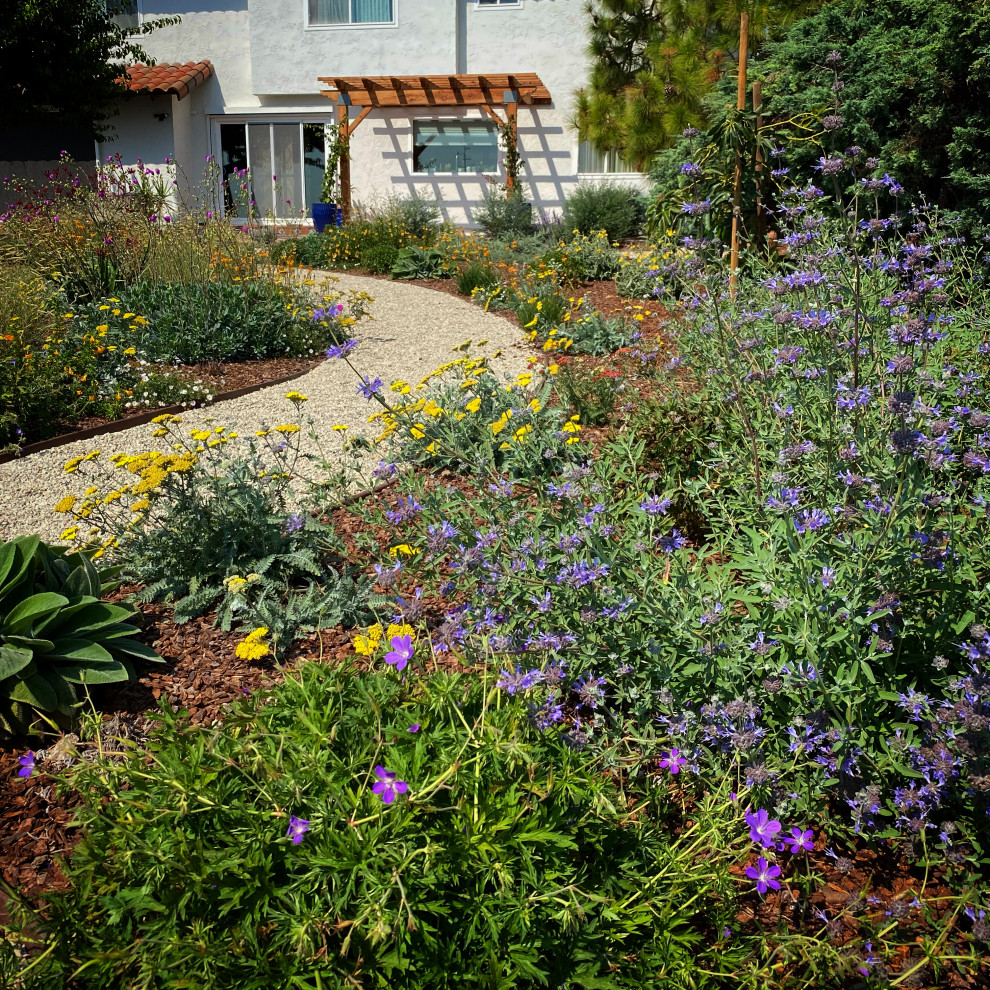 Rancho Palos Verdes, CA - Regenerative California Native Garden