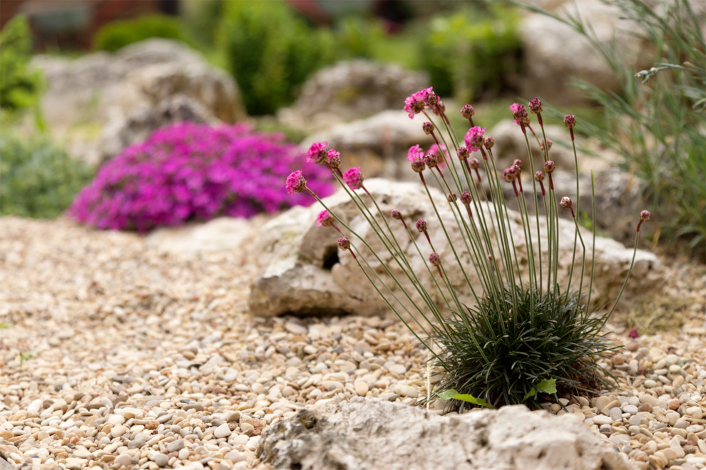 Новая Рига, Москва