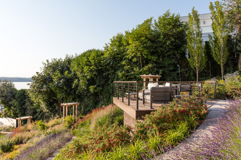 Foto di un grande giardino design esposto in pieno sole in estate con un pendio, una collina o una riva, ghiaia e recinzione in metallo