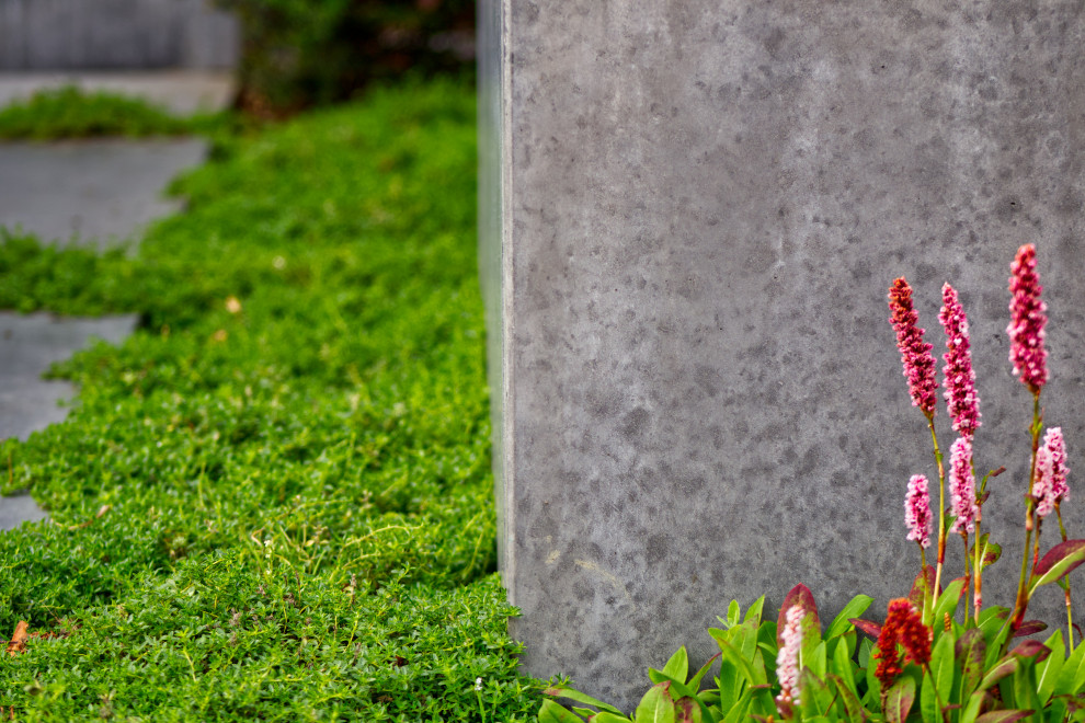 Geometrischer, Mittelgroßer Moderner Vorgarten mit Blumenbeet und Betonboden in Essen