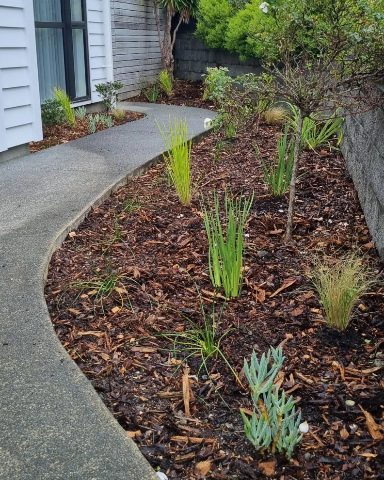 Front garden bed revamp