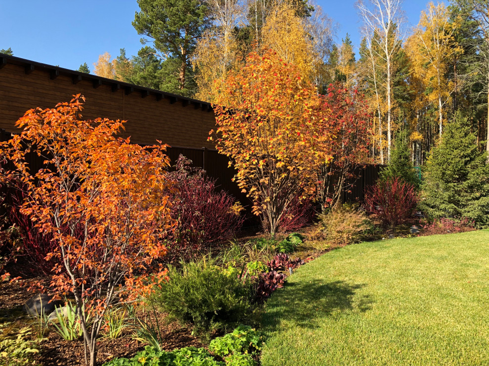 Усадьба на краю леса