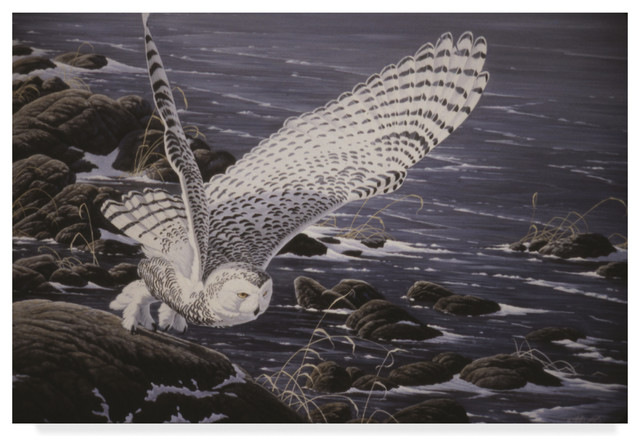 Wilhelm Goebel 'Winter Shore Snowy Owl' Canvas Art, 32"x22"