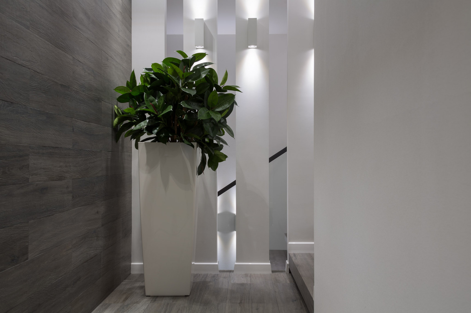 БЕЛЫМ ПО БЕЛОМУ