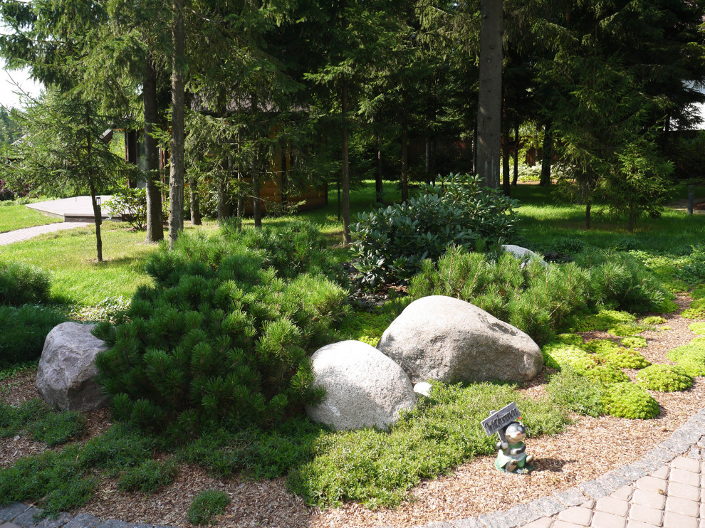 Белоостров