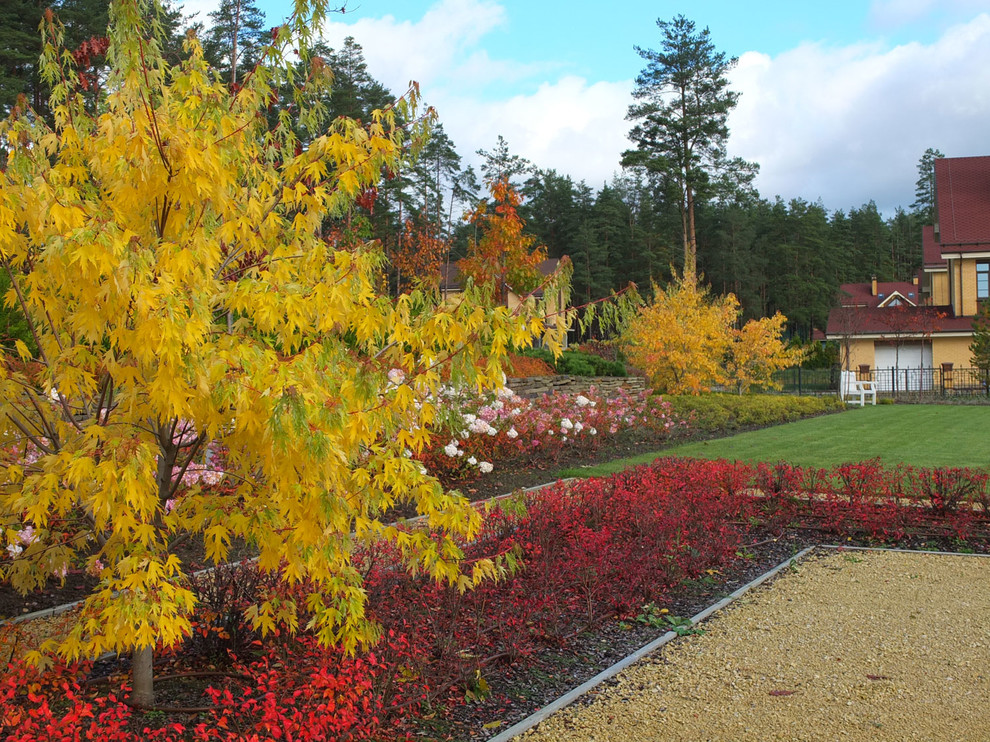 Участок со старой сосной