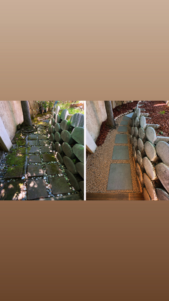 Complete Backyard & Landscape Renovation