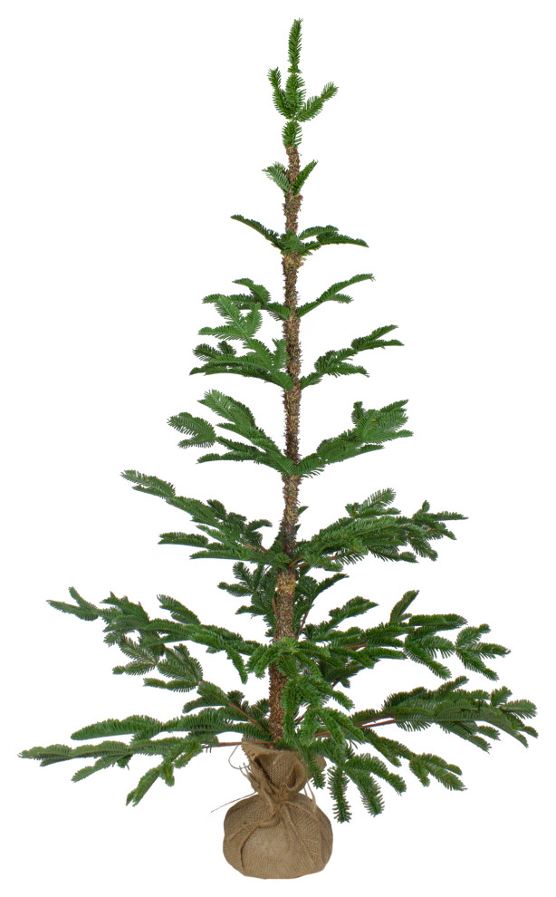 4' Green Ponderosa Pine Artificial Christmas Tree With Jute Base, Unlit