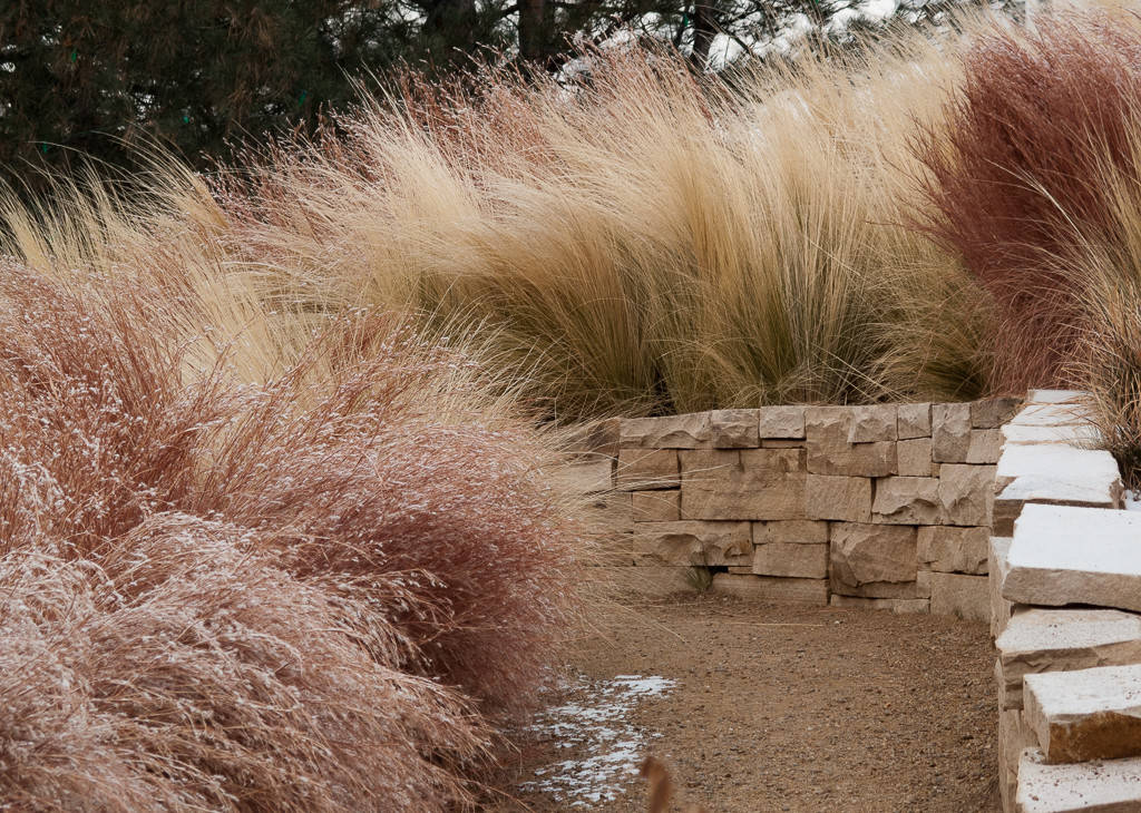 Native Gardens Outgrow Their 'Messy' Reputation