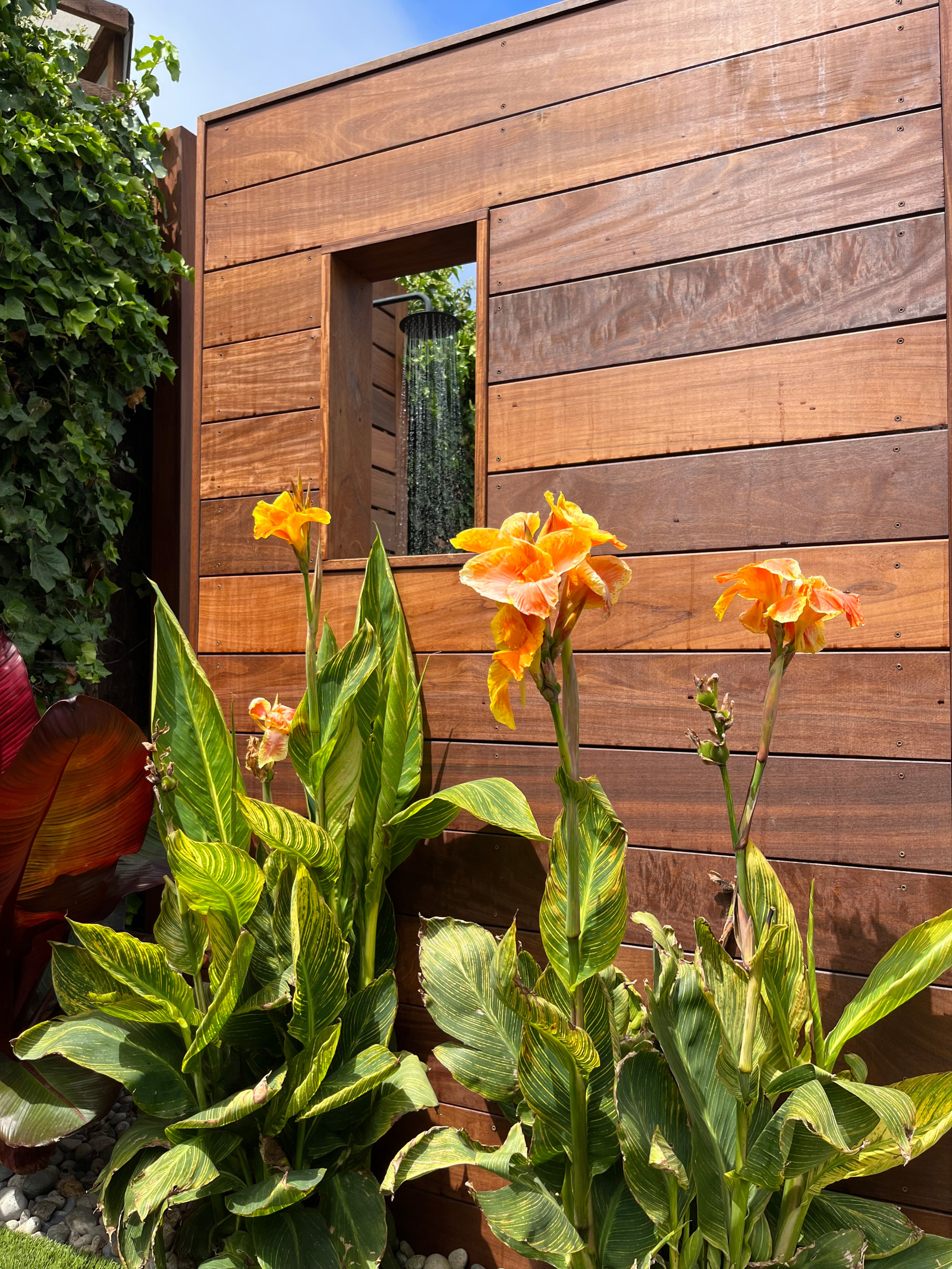 Surfer's backyard retreat