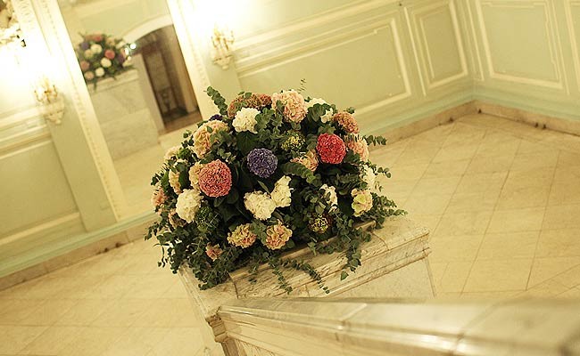 Фитодизайн интерьера