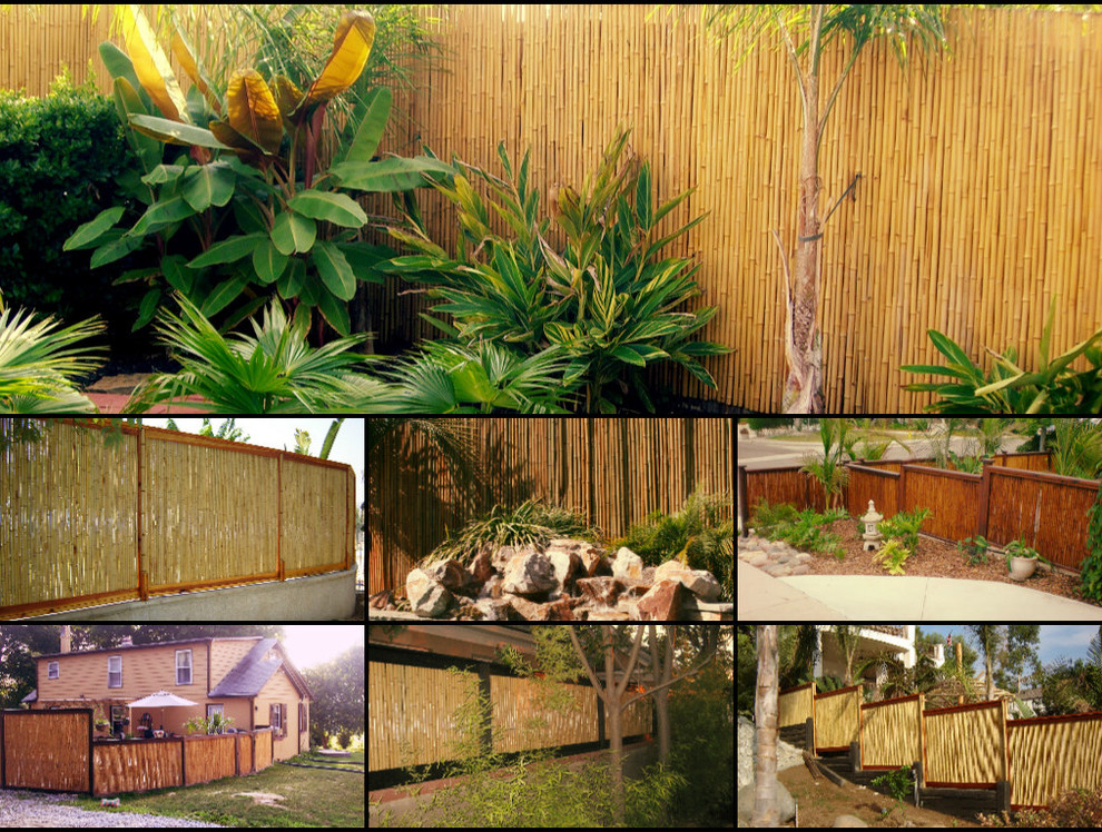 Bamboo Fencing Tropical San Diego By Backyard X Scapes Inc
