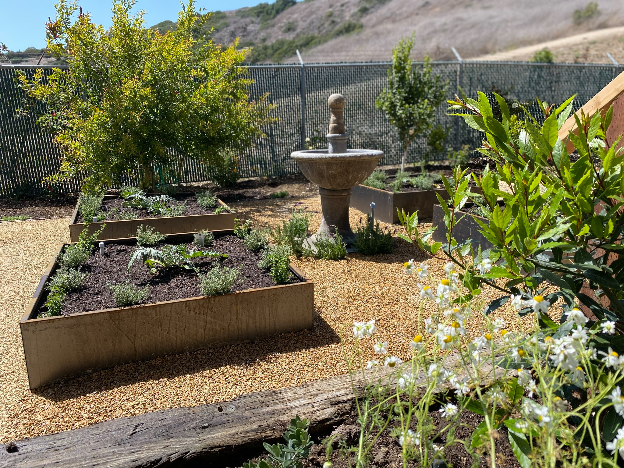 San Pedro, CA - English Potager Style Culinary Garden