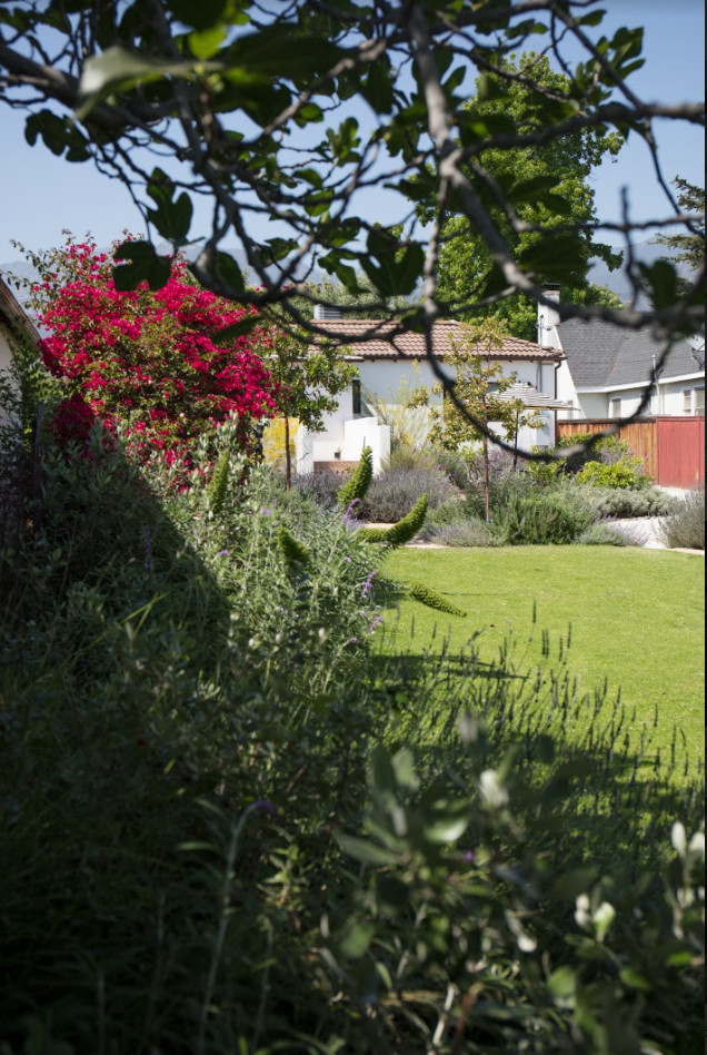 Großer Mediterraner Kiesgarten im Sommer, hinter dem Haus mit Blumenbeet und direkter Sonneneinstrahlung in Los Angeles