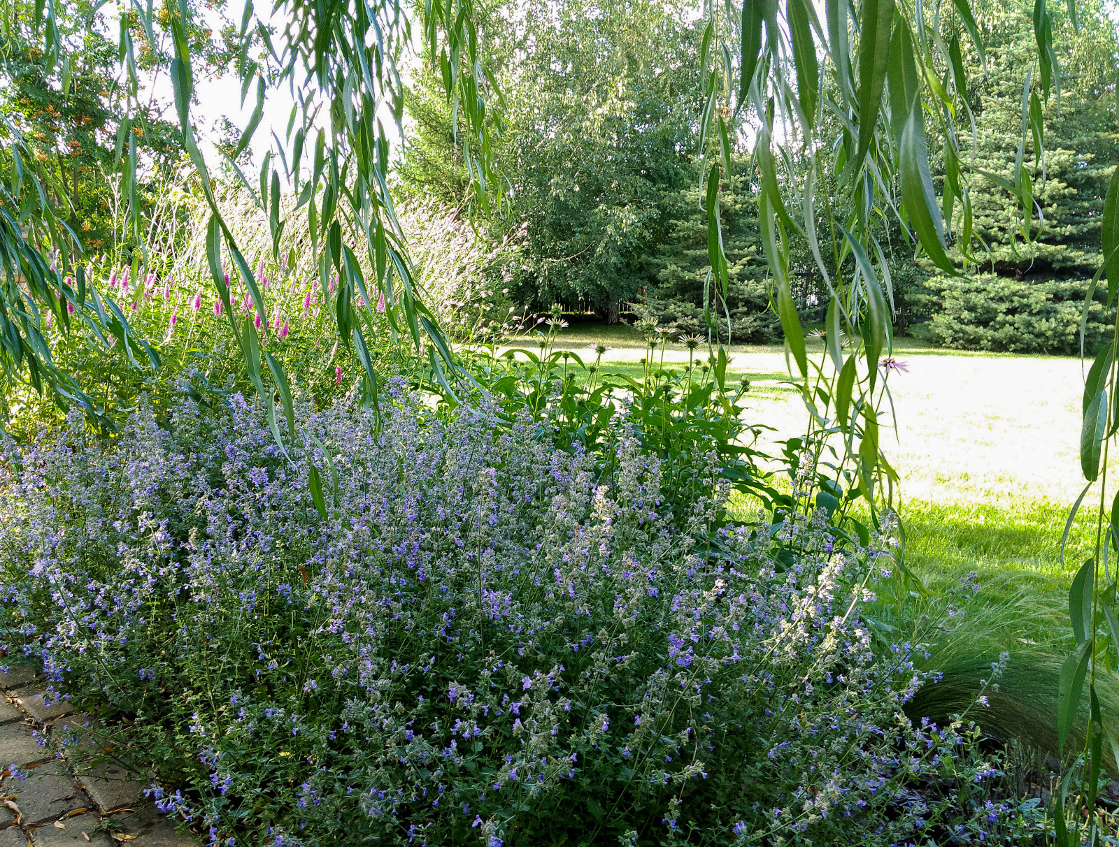 пос.Малая Царевщина