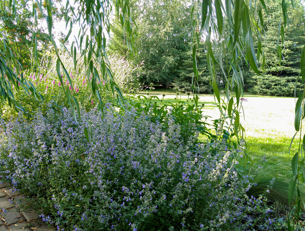 пос.Малая Царевщина