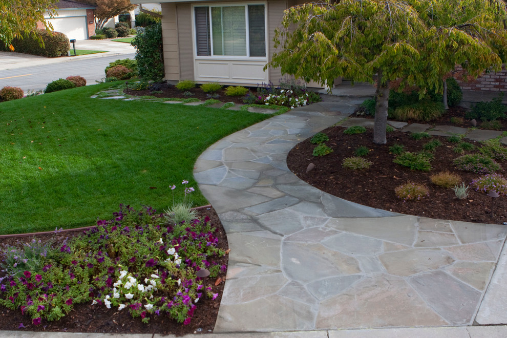 This is an example of a traditional landscaping in San Francisco.