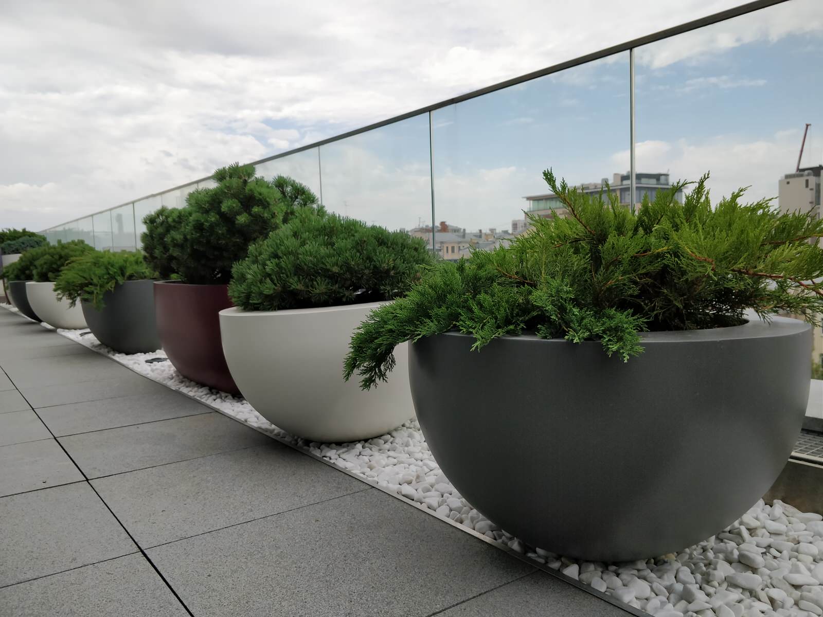 Озеленение крыши в центре Москвы