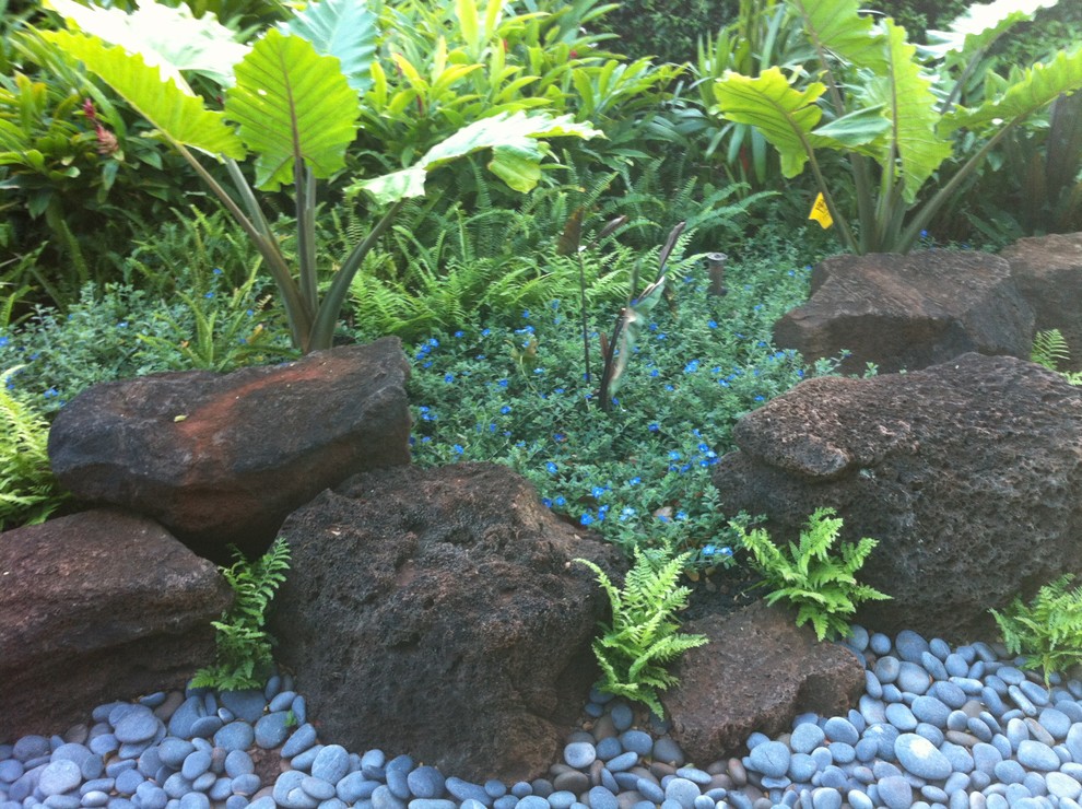 Photo of a mid-sized tropical backyard full sun garden for spring in Hawaii with gravel.