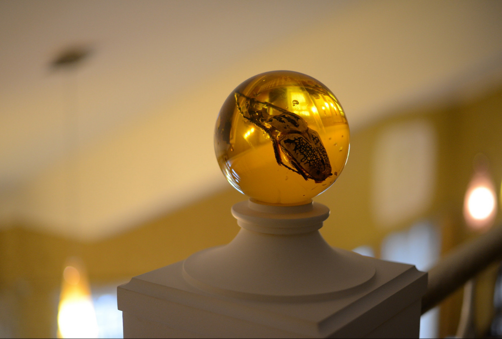 Тотем и табу