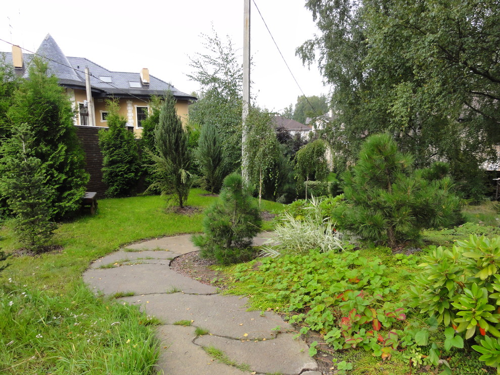 березовая роща