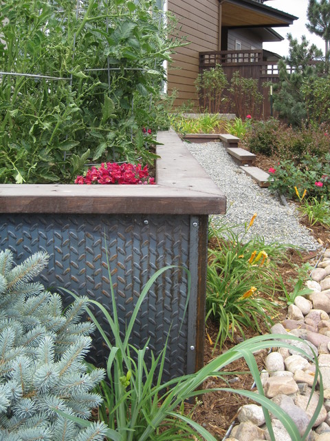 Stapleton contemporary-garden