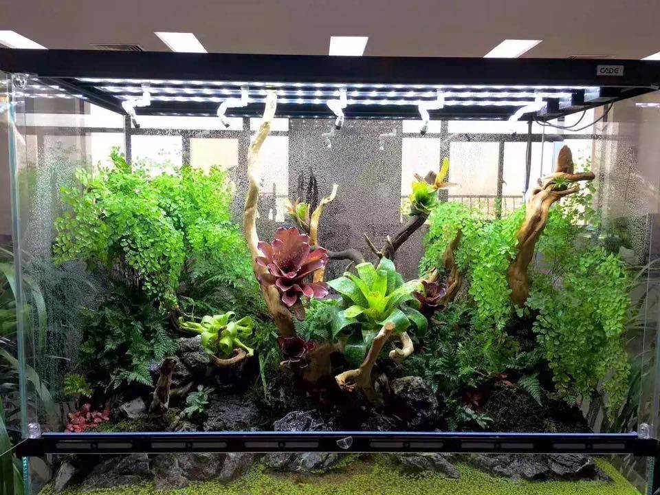 Полюдариум