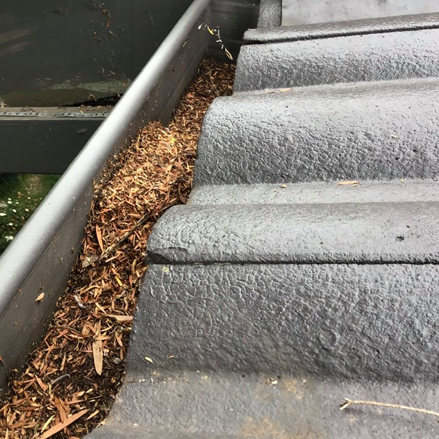 Blocked roof gutters Houzz AU
