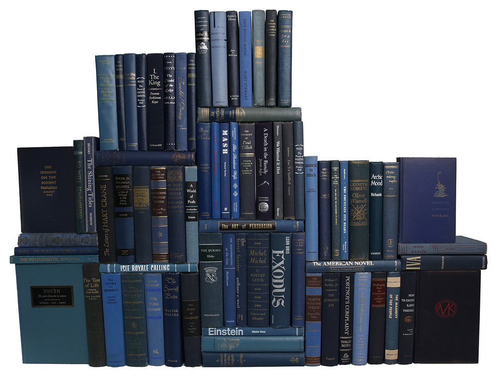 Midcentury Denim Book Wall 75 Piece Set Contemporary Books By Booth Williams